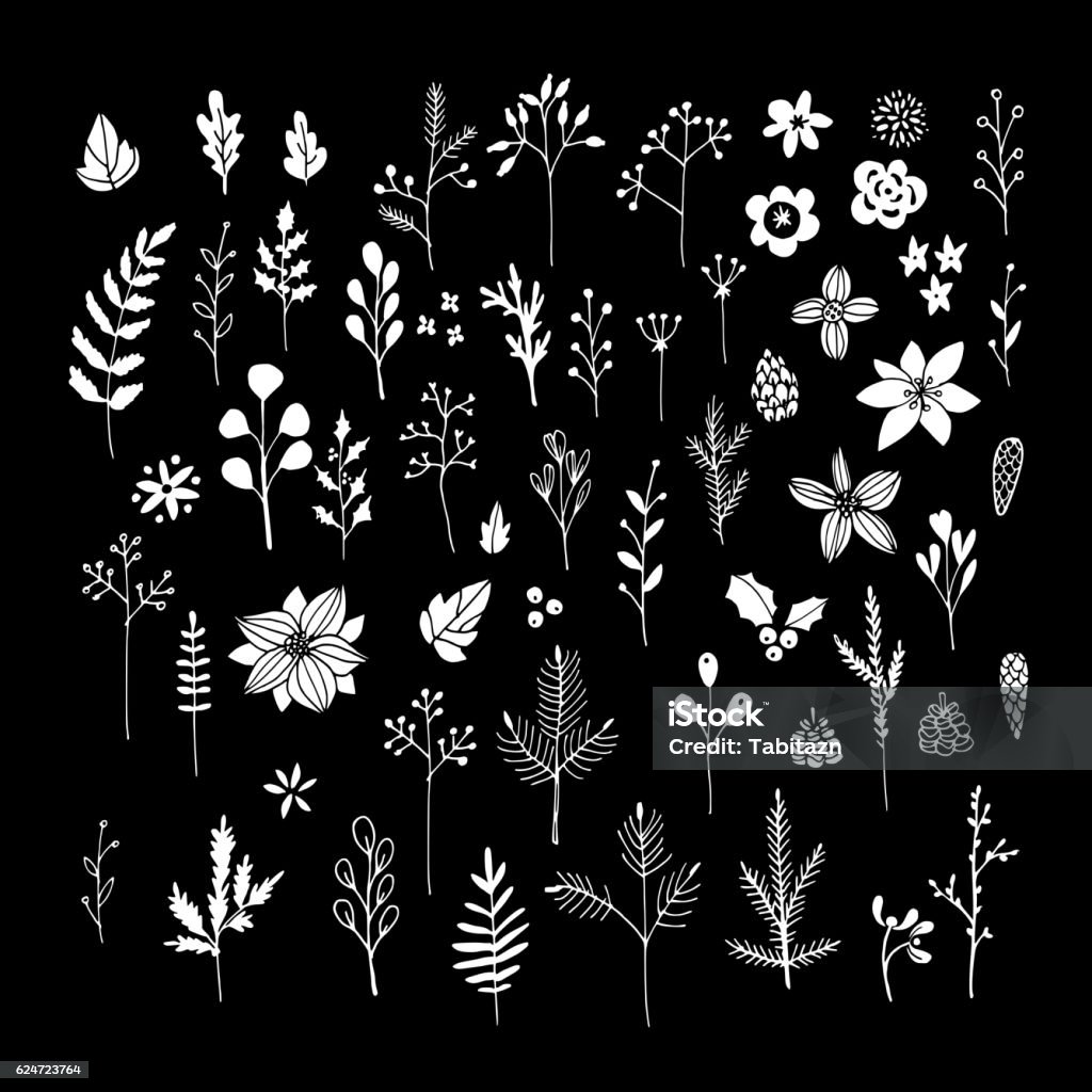 Set of white chalk flowers, leaves and branches on blackboard. Set of white chalk flowers, leaves and branches on blackboard. Isolated Christmas floral elements. Hand drawn vector illustrations. Fern stock vector