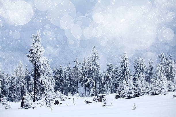 istock Winter landscape with snowy fir trees 624739796
