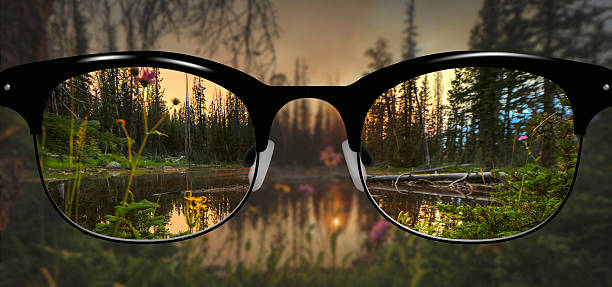 istock Clear Vision High Uintas Utah Wild Flower and lake 624741542