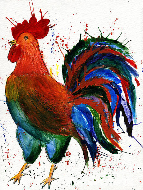 Hand drawn watercolor illustration of colorful cock on white background Hand drawn watercolor illustration of colorful cock on white background. Rooster. Symbol of 2017 on the Chinese calendar. male red junglefowl gallus gallus stock pictures, royalty-free photos & images