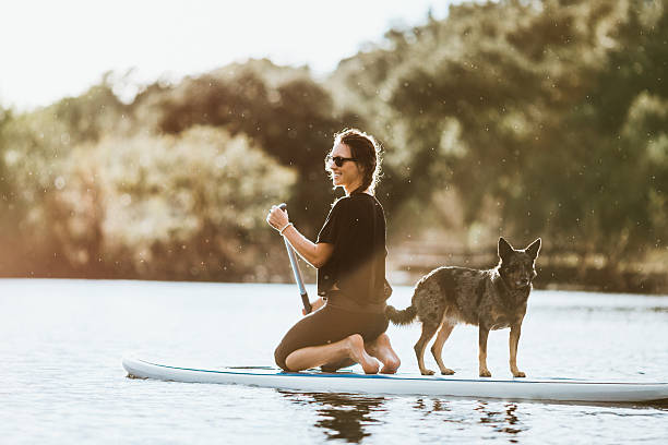 istock Paddleboarding Woman With Dog 624744564