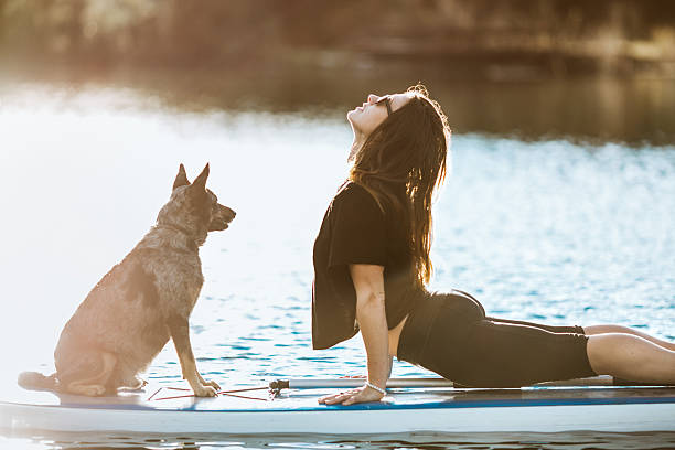 istock Paddleboarding Woman With Dog 624744592
