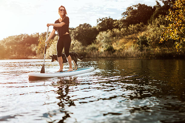 Paddleboarding Woman With Dog A beautiful young adult woman enjoys a peaceful moment on the water with her paddle board and faithful pet dog.  The sun illuminates the scene, casting a golden glow. Shot in Austin, Texas, USA. paddleboard photos stock pictures, royalty-free photos & images