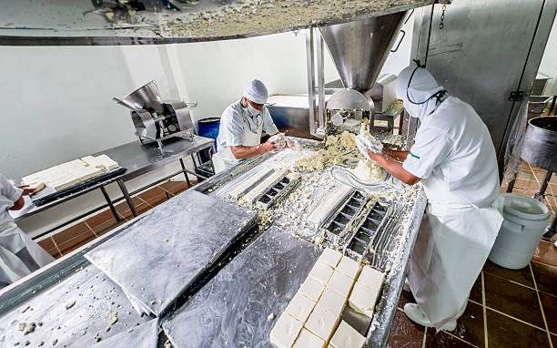 istock Men working at a dairy factory 624745684