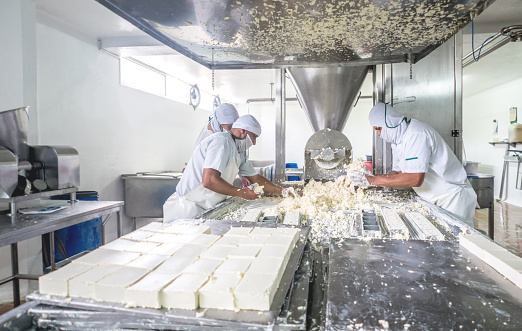 Group of workers at a dairy factory making cheese - food and drinks industry