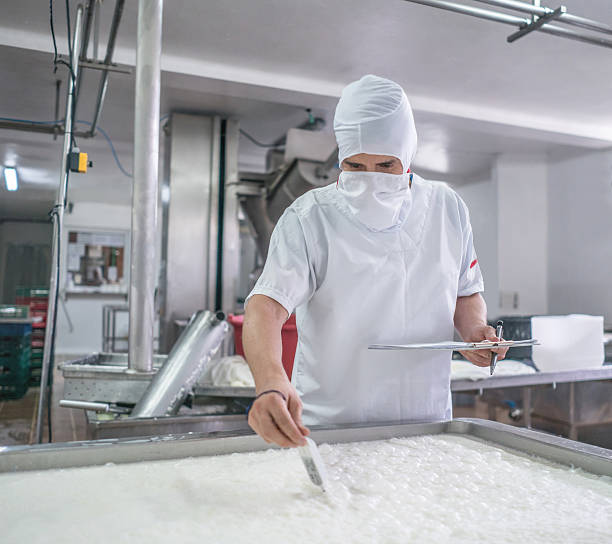 uomo che lavora in un caseificio - stabilimento caseario foto e immagini stock