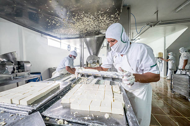 Worker at a dairy factory Latin American worker working at a dairy factory making cheese - food and drinks industry food processing plant stock pictures, royalty-free photos & images