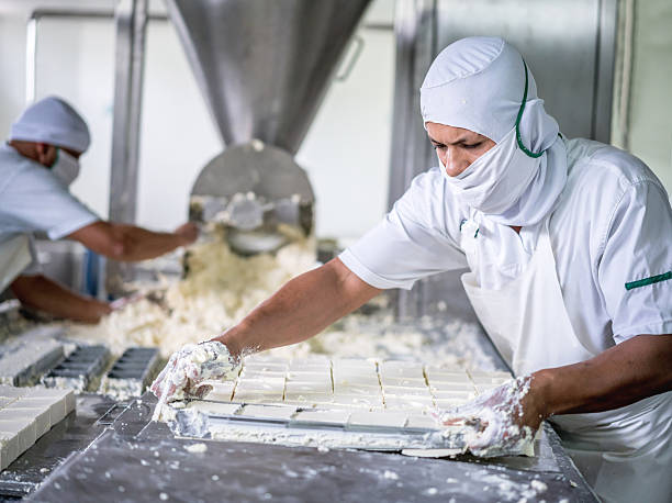 istock Man working at a dairy factory 624745780