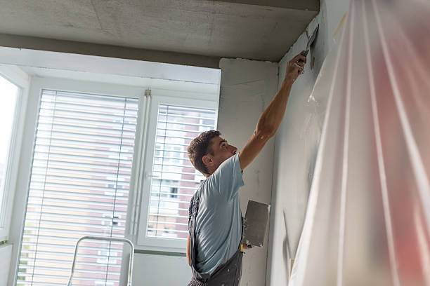 屋内の壁や天井を改装する左官。仕上げ作業。 - painting home improvement house painter ストックフォトと画像