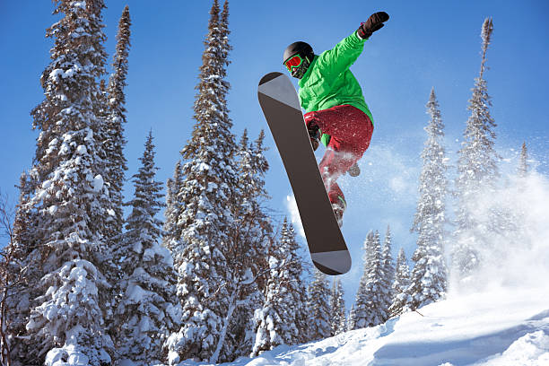 Snowboarder jumps freeride powder forest stock photo