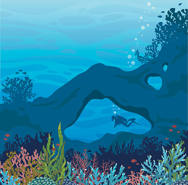 życie morskie - podwodna jaskinia, rafa koralowa i nurek. - podwodny ilustracje stock illustrations