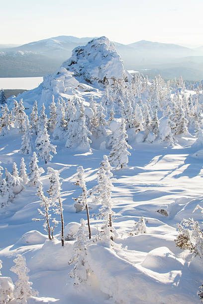 istock Mountain range Zyuratkul, winter landscape. Snow swept spruces 624770046