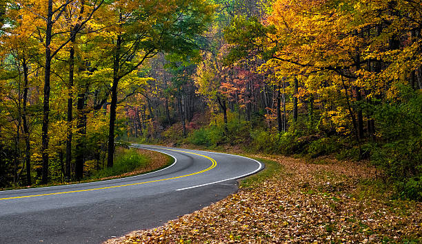istock Fall Colors On A Backroad in Gatlinburg, TN 624770222