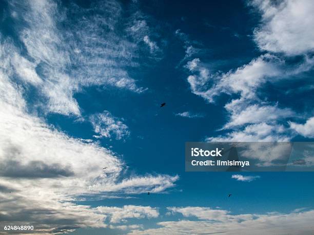Cloudy Sky With Flying Birds 1 Stock Photo - Download Image Now - Backgrounds, Beauty, Beauty In Nature