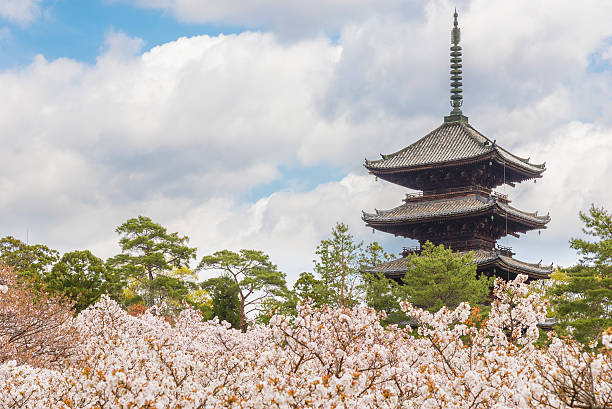 temple ninna-ji, kyoto, japon - japanese culture landscape landscaped ornamental garden photos et images de collection