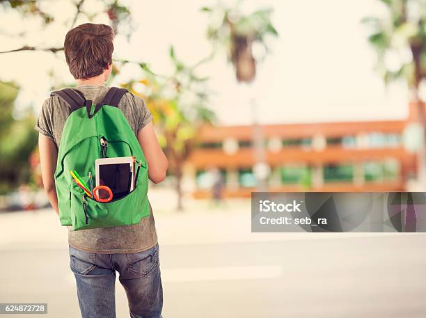 Young Student Man In Campus Stock Photo - Download Image Now - Walking, Rear View, School Building