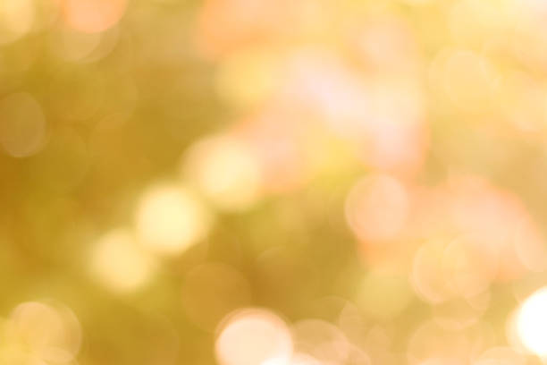 istock abstract yellow Bokeh circles background, Natural Bokeh 624878706
