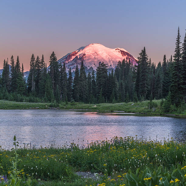 MT.Rainier National Park, WA, USA.