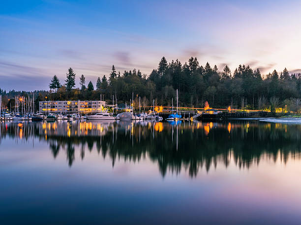 mtレーニアの背景を持つ港で夕日 - water tranquil scene puget sound cloudscape ストックフォトと画像