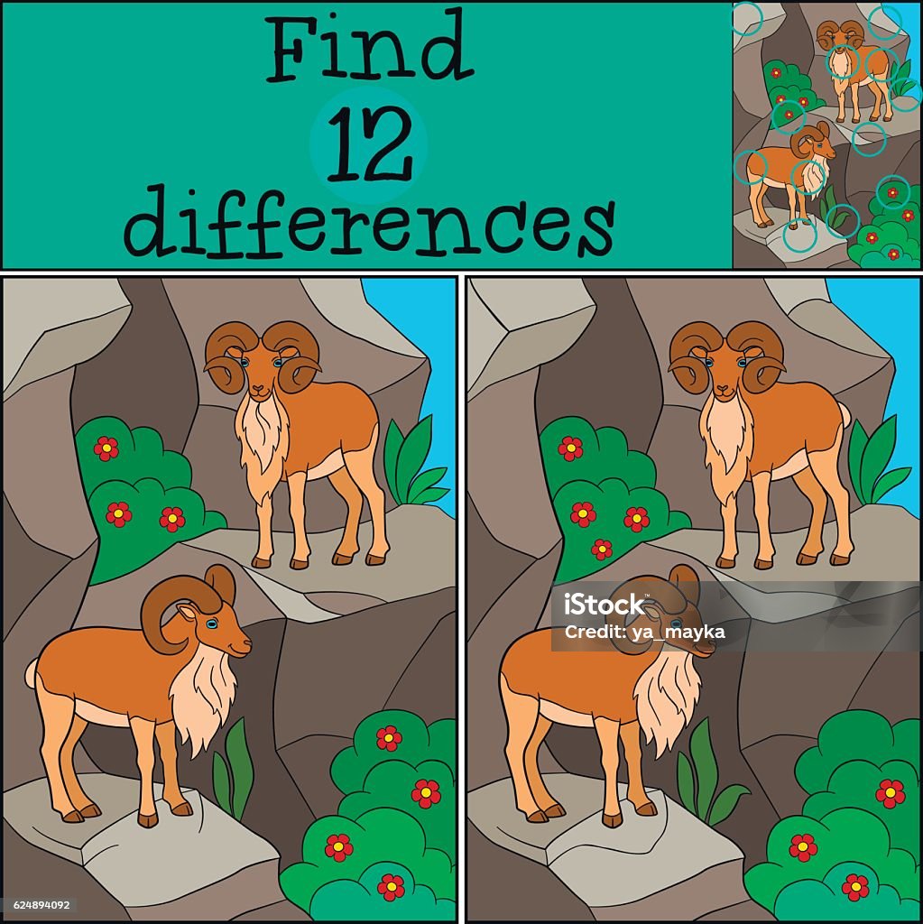 Educational Game Find Differences Two Beautiful Urials On The Stock ...