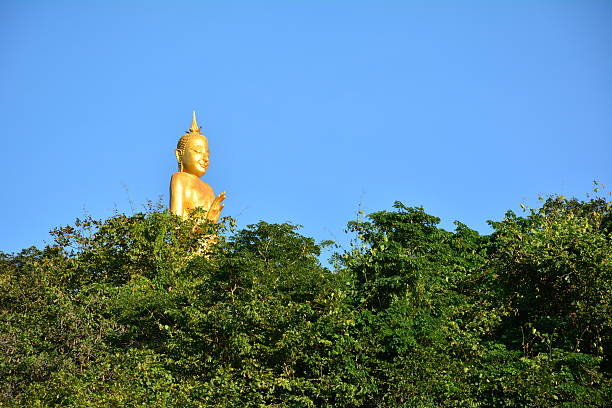 outdoor,tree,thailand,oriental,sculpture,green,travel,peace,statue,yellow,god,grass,old,asia,art,buddha,golden,background,branch,closeups,oak,closeout,isolated,natural,white,spring,leaf,culture,worship,summer,buddhist,buddhism,thai,gold,close,temple,sky,religion,ancient,beautiful,nature,meditation,asian,landscape