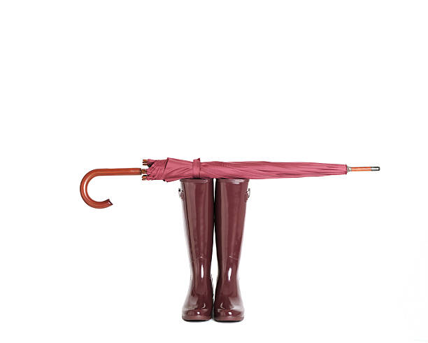 Rubber boots and umbrella stick color Marsala on isolated backgr