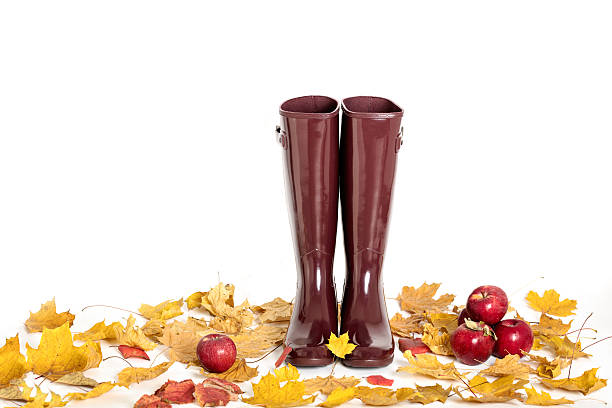 秋のコンセプト。ゴム製ブーツ色マルサラ。紅葉とアプ - shoe single object isolated red ストックフォトと画像