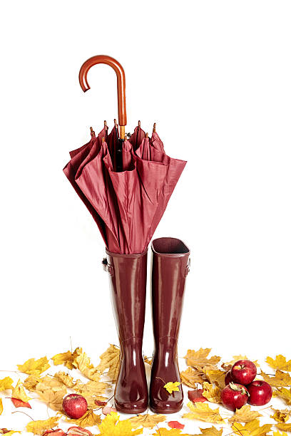 istock Autumn concept. Rubber boots and umbrella color Marsala. 624895516