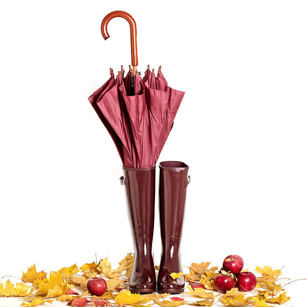 istock Autumn concept. Rubber boots and umbrella color Marsala. 624895622