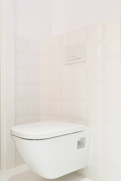 istock Toilet in modern, bright house 624908270