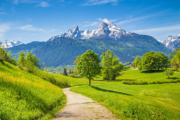 idyllische landschaft in den alpen mit wanderweg im sommer - european alps germany landscaped spring stock-fotos und bilder