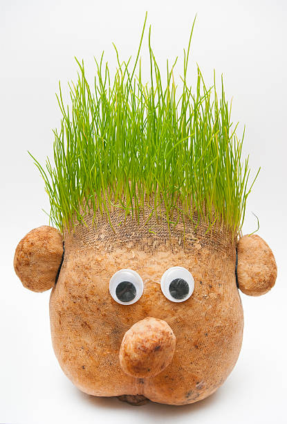 doll with hair from grass on white background