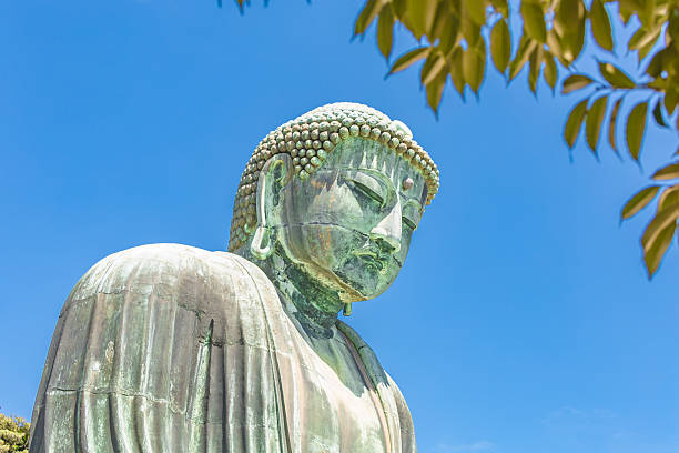 Kamakura, Japan - 19 August  2016:The Great Buddha which is the main temple of Kotokuin in Hase which is a famous place for Kamakura. An image height of 11.39 m (13.35 m including the base), a huge Buddha image with a weight of about 121 t.