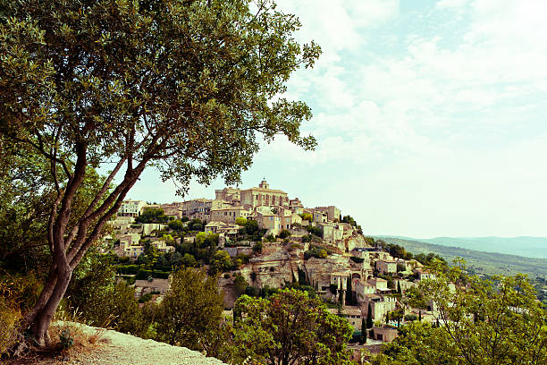istock olive tree in Gordes,Southern France 624927290