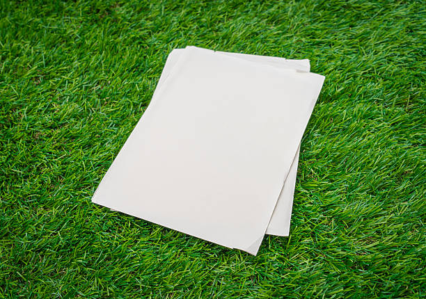 istock Pile of paper 624928578