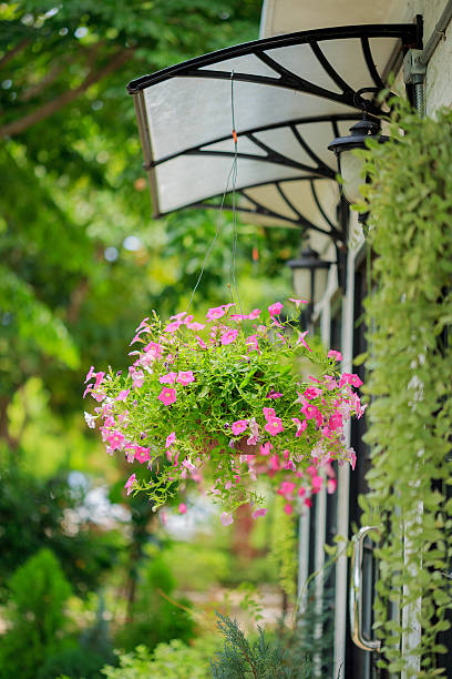 istock Flowers hung in front of homes. 624930112