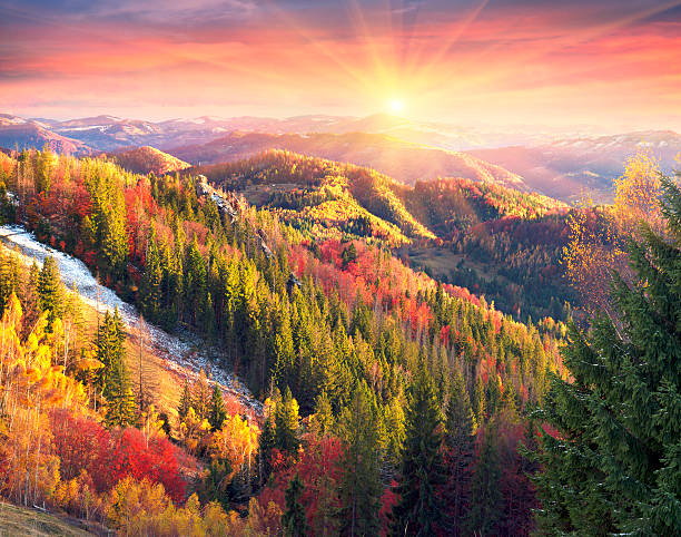 istock Golden Forest Ridge Sokilsky 624946070
