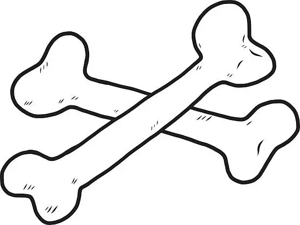 Vector illustration of cross bones