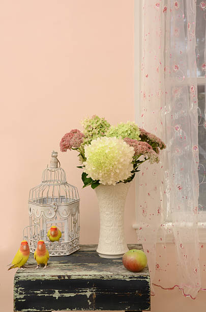 Three Little Peach Faced Lovebirds in a Room Three lutino peach-faced lovebirds perch on a rustic table in a pink, shabby chic room. three parrots stock pictures, royalty-free photos & images