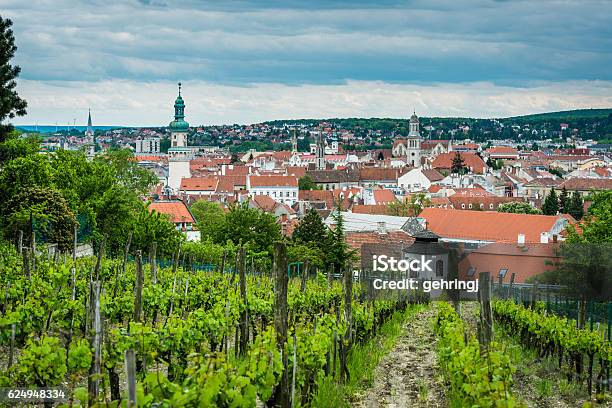Vineyard Stock Photo - Download Image Now - Sopron, Hungary, Agricultural Field