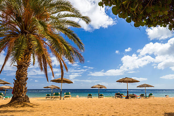 istock Yellow sand beach with lounge chairs and umbrellas 624950810