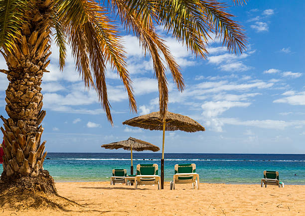 istock Yellow sand beach with lounge chairs and umbrellas 624950910