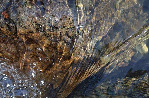 istock the bottom of a clear stream 624956120