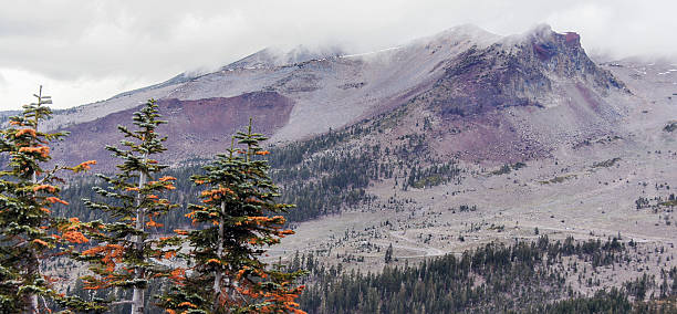 istock Mount Shasta and pine trees from Grey Butte Trail 624956392