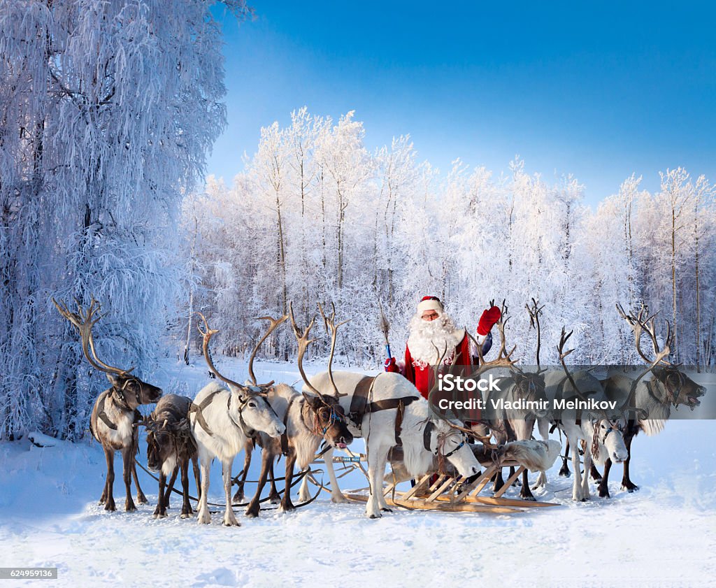 Le Père Noël et ses rennes en forêt - Photo de Père Noël libre de droits