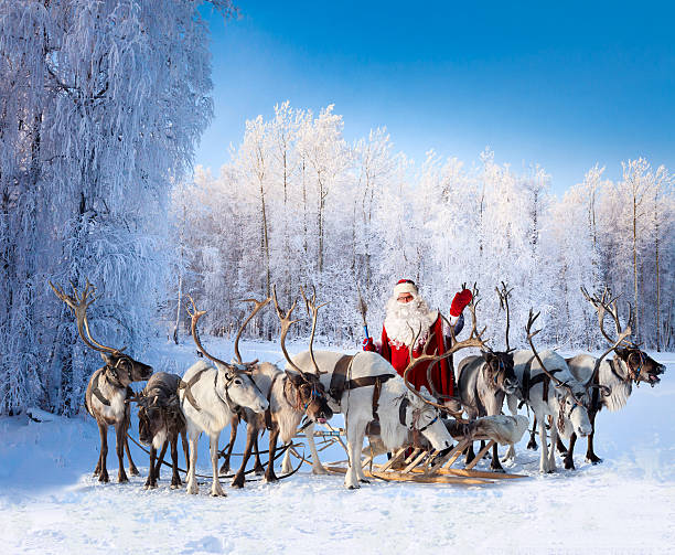 santa claus and his reindeer in forest - reindeer imagens e fotografias de stock
