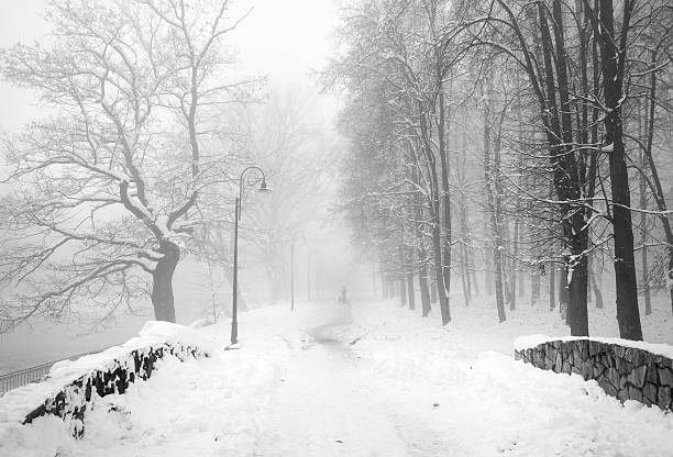 istock Walking the dog in the fog 624965770