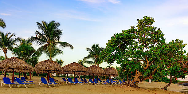 istock palm beach lounge chair 624966304