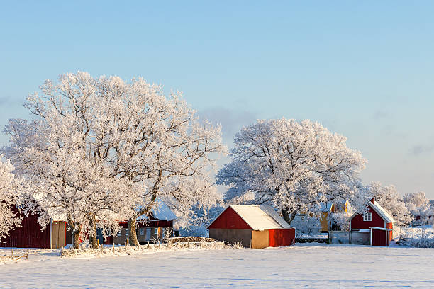 冬の霜と雪が降る農家 - sweden cottage winter snow ストックフォトと画像