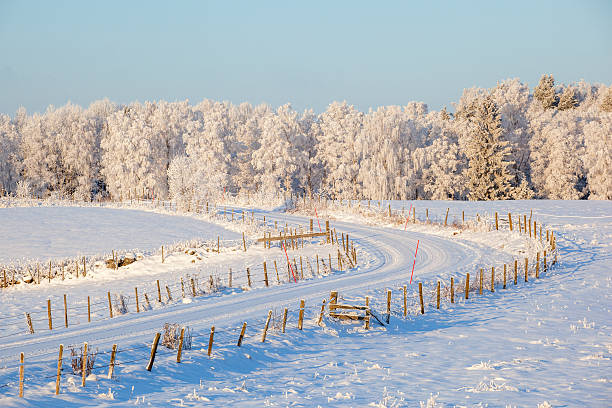 istock Dirt road across the field in wintry landscape 624966582